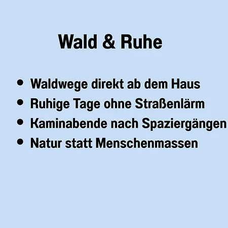 Waldidyll - Ruhe Mitten Im Wald