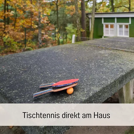 Waldidyll - Ruhe Mitten Im Wald Appartement
