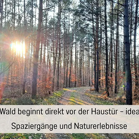Waldidyll - Ruhe Mitten Im Wald